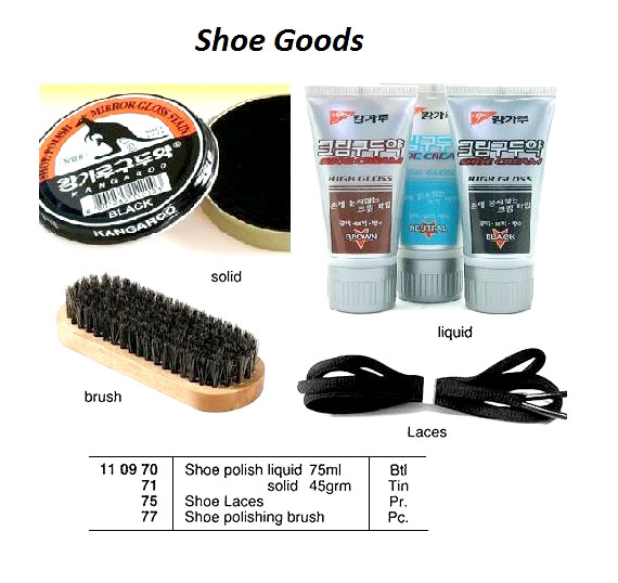 BRUSH SHOE POLISHING