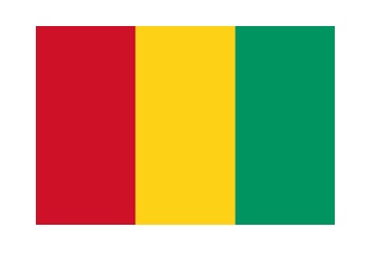 FLAG NATIONAL 2`X 3` BUNTING, REPUBLIC OF GUINEA