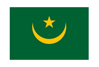 FLAG NATIONAL 2`X 3` BUNTING, MAURITANIA