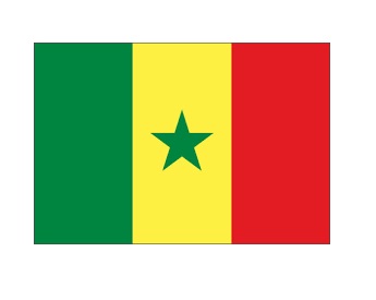 FLAG NATIONAL 2`X 3` BUNTING, SENEGAL