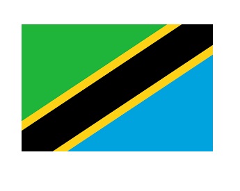 FLAG NATIONAL 2`X 3` BUNTING, TANZANIA