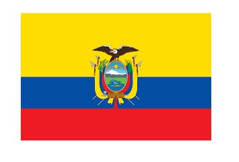FLAG NATIONAL 2`X 3` BUNTING, ECUADOR