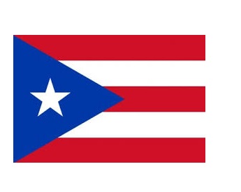FLAG REGIONAL 2`X 3` BUNTING, PUERTO RICO