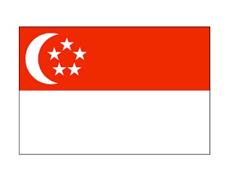 FLAG NATIONAL 2`X 3` BUNTING, SINGAPORE