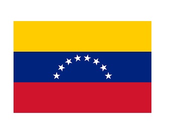 FLAG NATIONAL 2`X 3` BUNTING, VENEZUELA