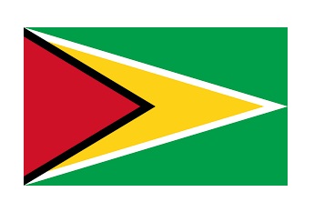 FLAG NATIONAL 2`X 3` BUNTING, GUYANA
