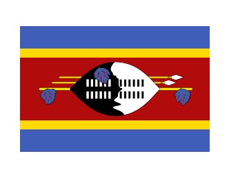 FLAG NATIONAL 3`X 4` BUNTING, SWAZILAND