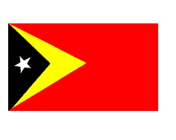 FLAG NATIONAL 3`X 4` BUNTING, TIMOR-LESTE