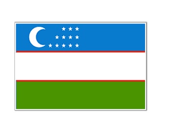 FLAG NATIONAL 3`X 4` BUNTING, UZBEKISTAN