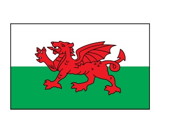 FLAG NATIONAL 3`X 4` BUNTING, WALES