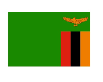 FLAG NATIONAL 3`X 4` BUNTING, ZAMBIA