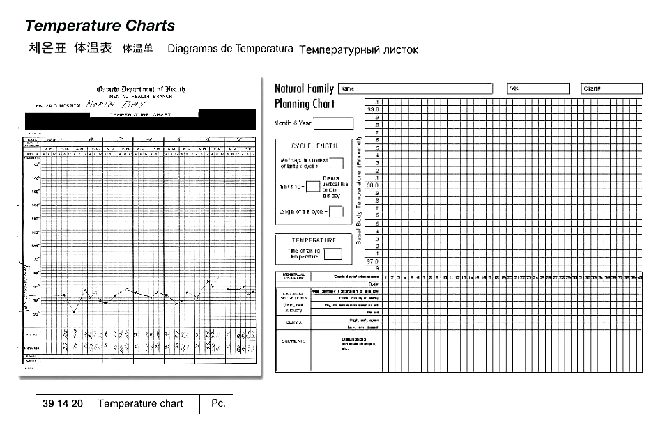 TEMPERATURE CHART