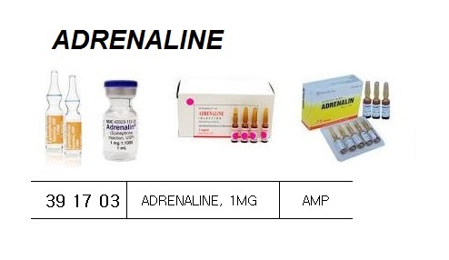 ADRENALINE AMPOULE 1 ML