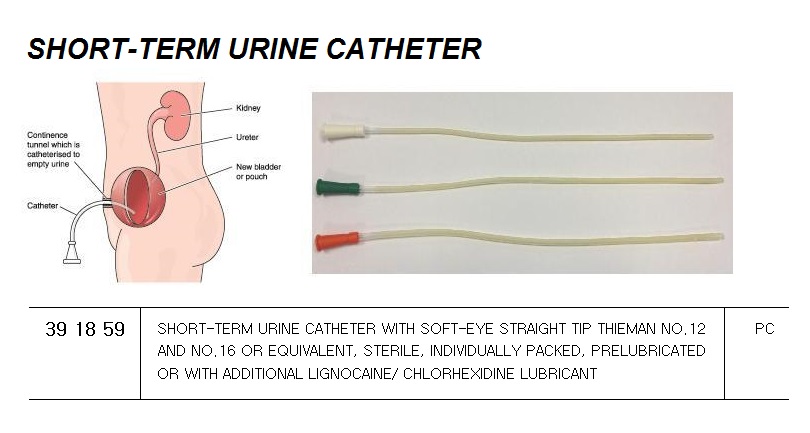 CATHETER URINE SHORT-TERM, W/SOFT-EYE STRAGHT TIP #12