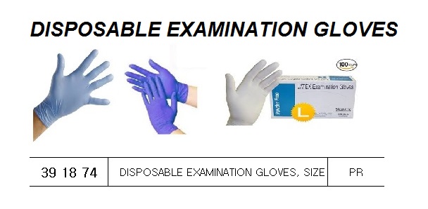 GLOVES EXAMINATION DISPOSABLE, L