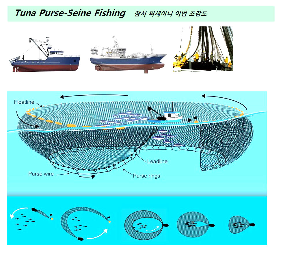 TUNA PURSE-SEINE FISHING